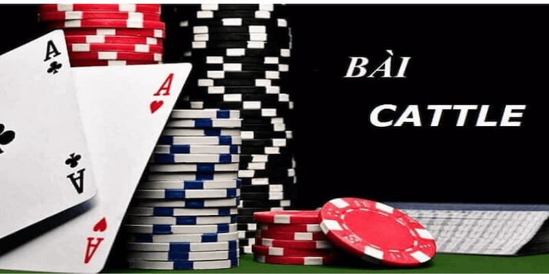 Giới thiệu tổng quan về mẹo đánh bài catte