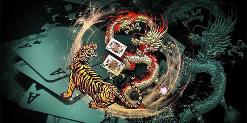 Giới thiệu tổng quan về rồng hổ Go88