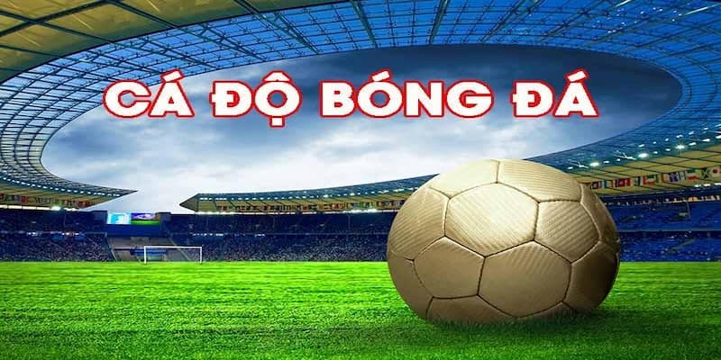 Dấu hiệu cần từ bỏ cá độ bóng đá ngay lập tức