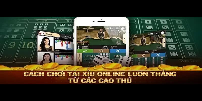 Câu bet tài xỉu