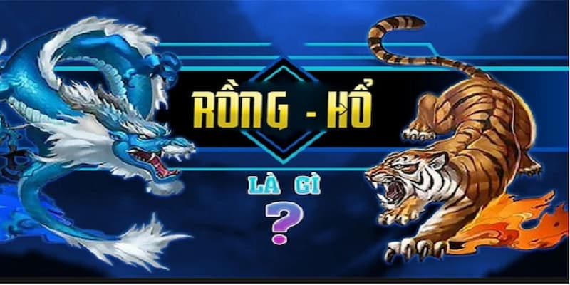 Hướng dẫn chơi rồng hổ
