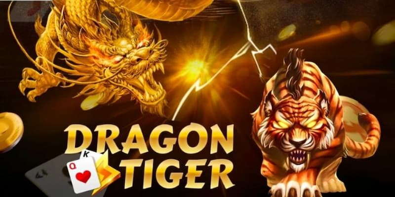 Tip hướng dẫn chơi rồng hổ tại Go88